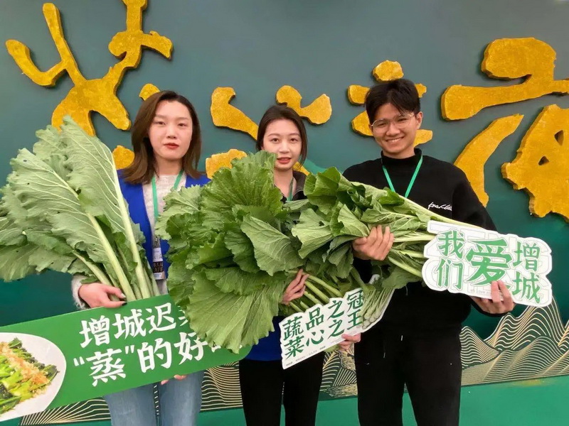 广州增城的迟菜心民俗文化在清朝时期开始由“迟菜心宴”这一道菜发展而成
