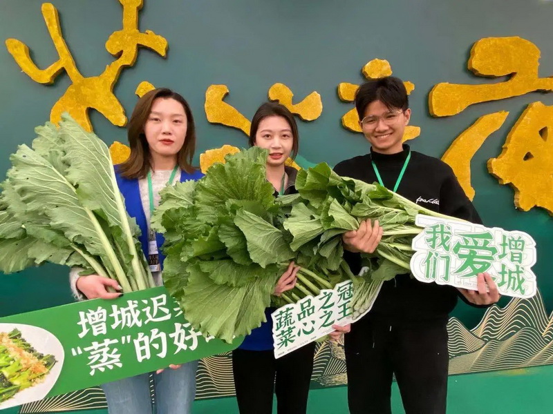 广州增城的迟菜心民俗文化在清朝时期开始由“迟菜心宴”这一道菜发展而成