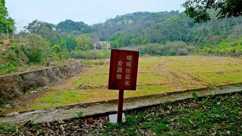 增城区朱村街的白水山为罗浮山余脉 是派潭镇大鹧鸪山脉的其中一座山峰