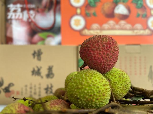 增城区3位“九零后”寻梦家乡农产品 拓展本地荔枝销路和打造本土品牌