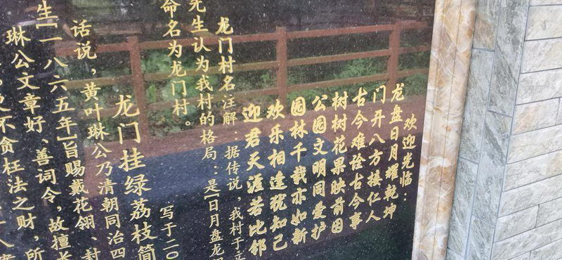 百年前落户江门恩平的“龙门挂绿”源自广州增城 伸张正义喜得“摇钱树”