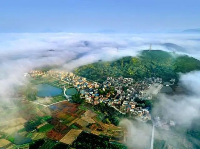 留住乡愁：广州市增城区仙村镇碧潭村 碧波悠悠绕荔林 百年古村今振兴