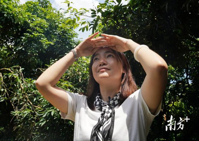 乡村振兴：广州市增城区海归女硕士陈立志 想把家乡的高品质荔枝出口到欧洲
