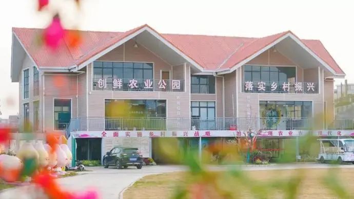 增城区创鲜农业基地日均番石榴销量达15万斤 打造“互联网+农业”销售模式