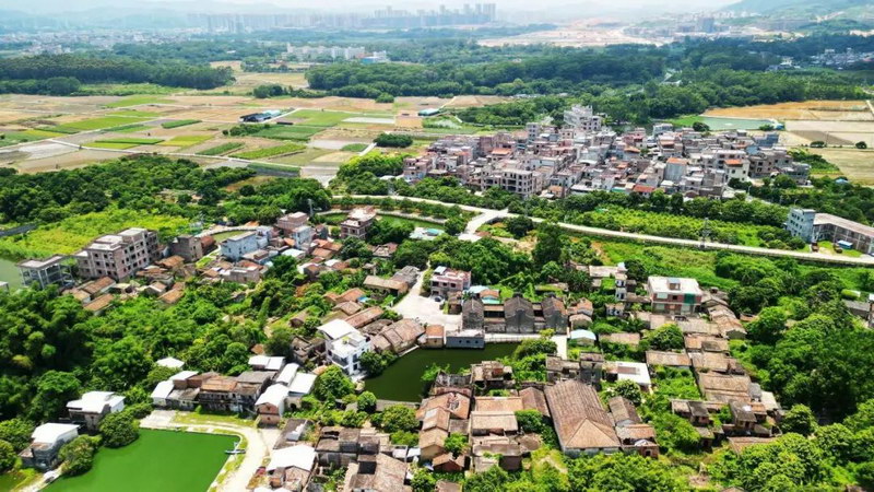 广州市增城区朱村街龙岗村拥有众多书房和家塾  耕读传家远 诗书继世长