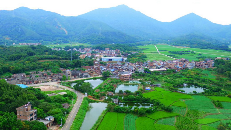 增城区派潭镇旧高埔村是&#8203;鹧鸪山下的世外桃园 有典型清代广府建筑的古建筑