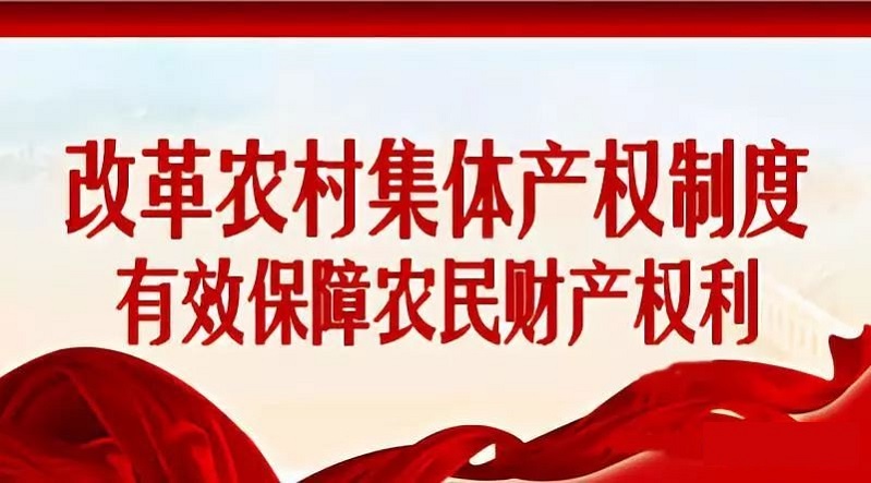 增城区扎实推进农村集体产权制度改革 发放超10万本股权证 村民变股东享红利