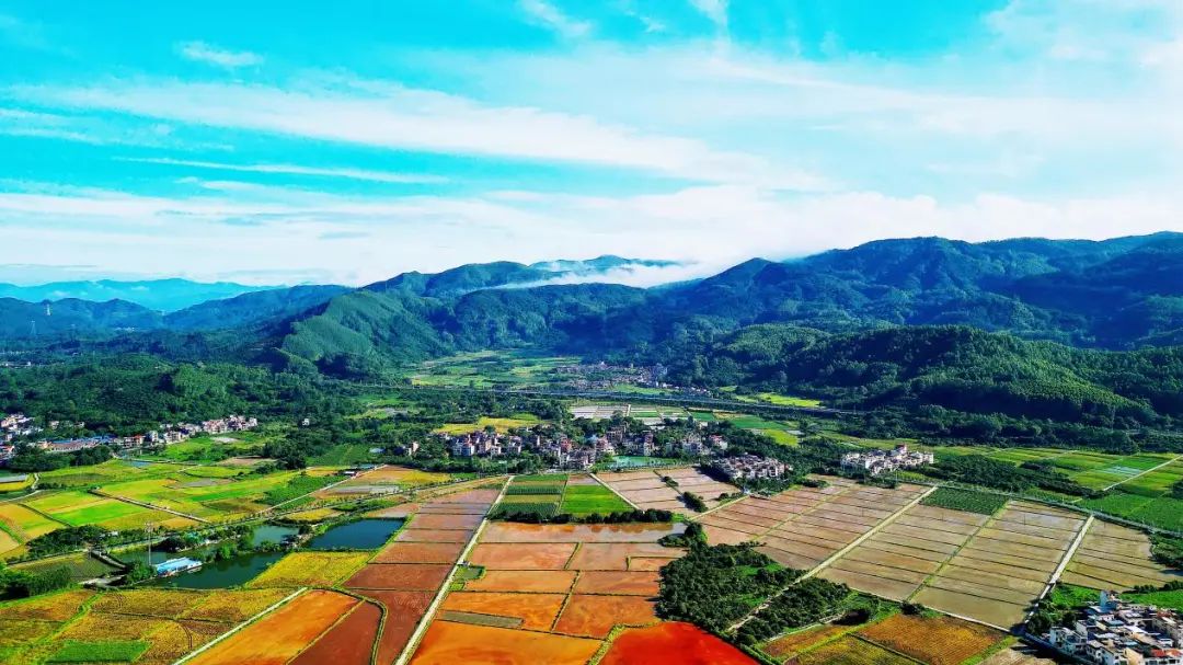 丝苗之乡:增城区朱村街白水山麓旁的丹邱村 “云母丹邱”为增城古八景