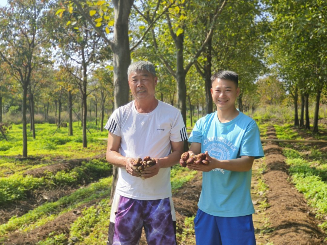 增城区石滩镇沙头村95后退役军人姚家进 种植红松茸创业 撑开乡村“致富伞”