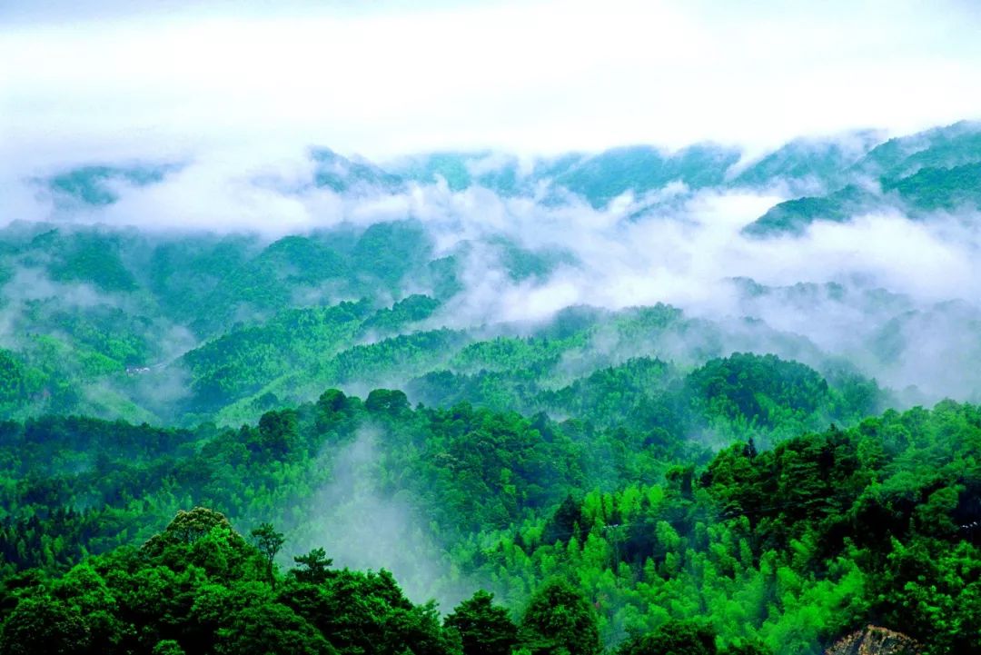 绵亘三县:广州增城北部牛牯嶂等群山理应冠以南昆山之名 可称为南昆山南麓 ...