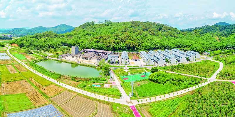 "四好农村路"串起广州市增城区乡村振兴好途景 科技赋能农村公路管养