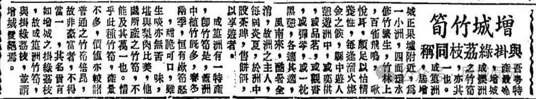 民国报纸揭秘广州市增城区正果镇成篁洲 竟藏着与挂绿齐名的宝藏物产"增城竹笋"